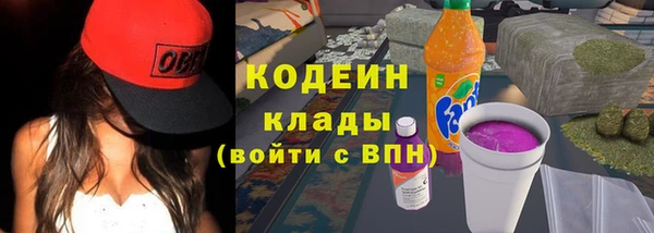 ГАЛЛЮЦИНОГЕННЫЕ ГРИБЫ Лихославль