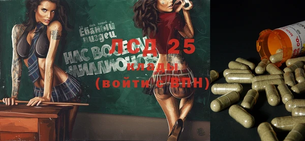 ГАЛЛЮЦИНОГЕННЫЕ ГРИБЫ Лихославль