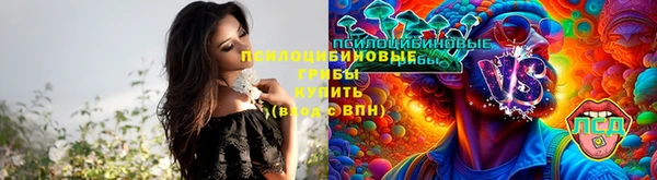 молекула духа Липки