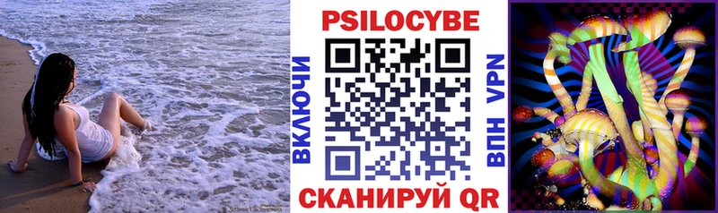 Псилоцибиновые грибы прущие грибы  ОМГ ОМГ зеркало  Стародуб  даркнет сайт 